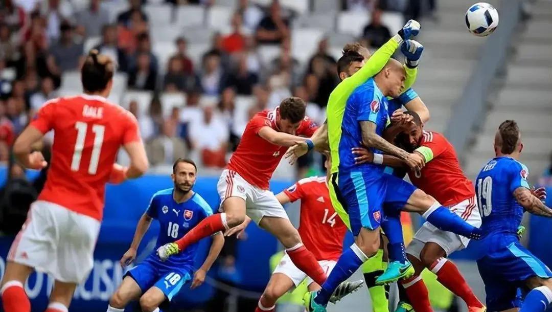 AG官方-比利时队整体实力强劲，备受关注焦点(比利时队晋级8强)